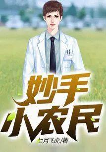 妙手小农民封面
