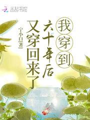我穿到六十年后又穿回来了封面