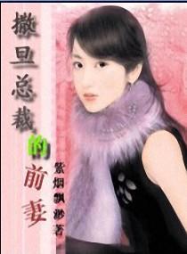 撒旦总裁的前妻封面