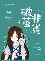 破茧非雀封面