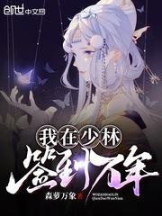 我在少林签到万年封面