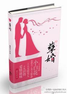 孽婚封面