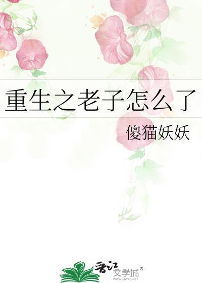 重生之老子怎么了封面