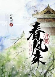 君携春风来封面