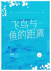飞鸟与鱼的距离封面