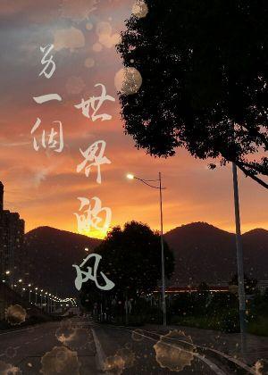 另一个世界的风封面