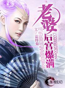 老婆——后宫爆满！封面