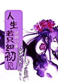 人生若只如初见 胤禛封面