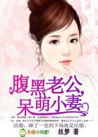 腹黑老公，呆萌小妻封面
