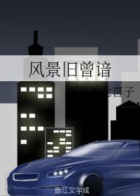 风景旧曾谙封面
