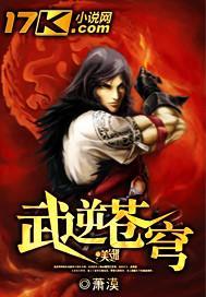 武逆苍穹封面