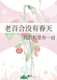 老百合没有春天封面