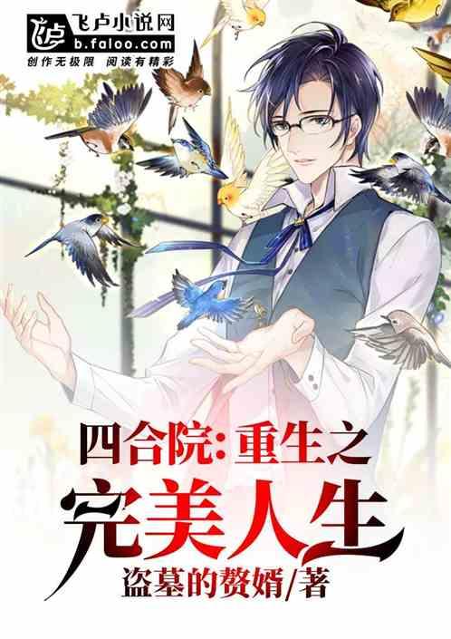 四合院：重生之完美人生封面
