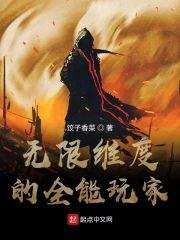 无限维度的全能玩家封面