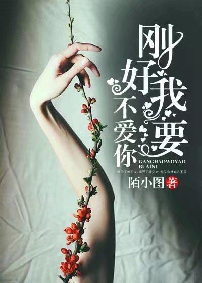 刚好我要不爱你封面