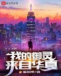 我的御灵来自华夏封面