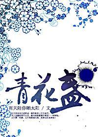 青花盏封面