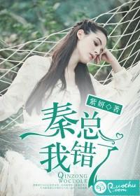 秦总，我错了封面