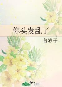 你头发乱了封面