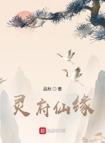 灵府仙缘封面