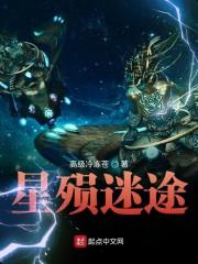 星殒迷途封面