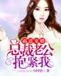 霸道宠婚：总裁老公抱紧我封面