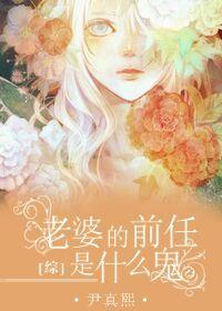 [综]老婆的前任是什么鬼封面