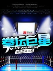 拳坛巨星封面