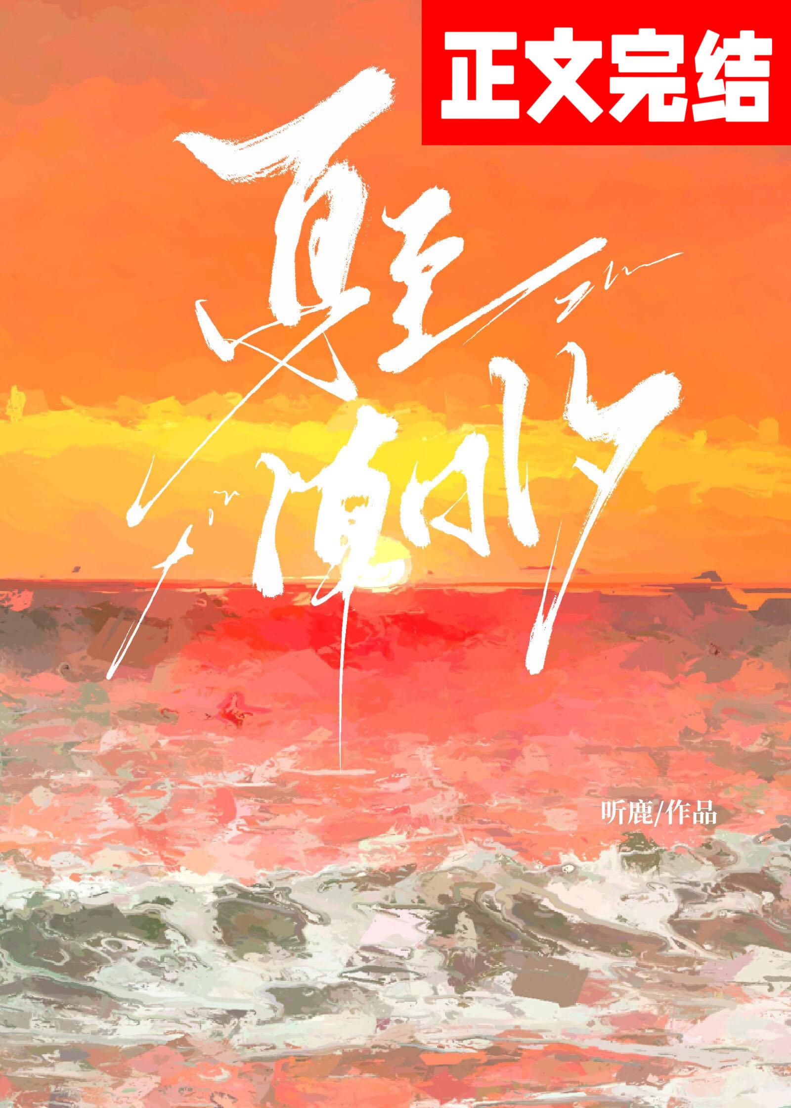 夏至潮汐封面