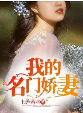 我的绝美小娇妻龙禹江允儿封面