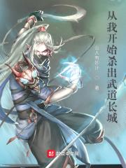从我开始杀出武道长城封面
