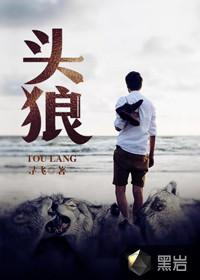 头狼的战利品封面