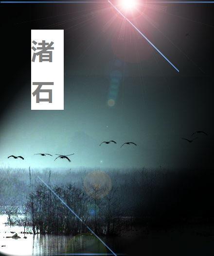 渚石封面