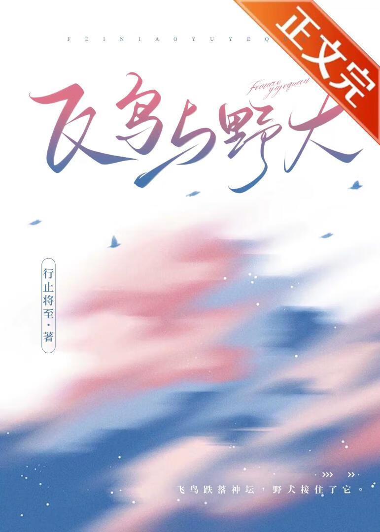 飞鸟与野犬封面