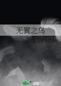 无翼之鸟封面