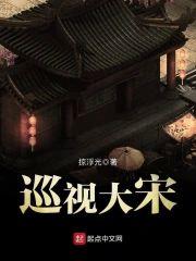 巡视大宋封面