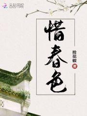 惜春色封面