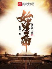 大秦开局捡到一只始皇帝封面