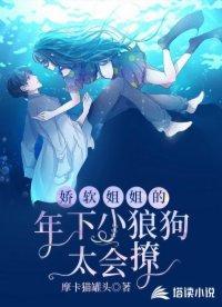 娇软姐姐的年下小狼狗太会撩封面