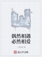 偶然相遇必然相爱封面