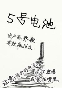 5号电池封面