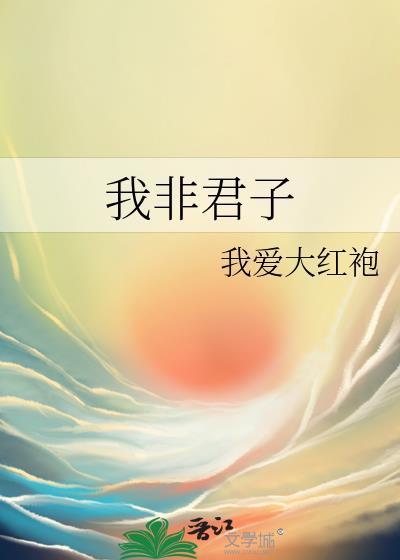 我非君子封面