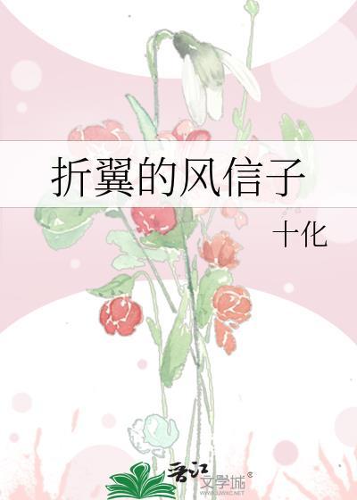 折翼的风信子封面