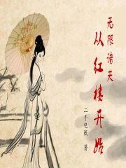 无限诸天从红楼开始封面