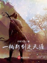 明月夜光记之断剑江湖封面