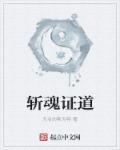 斩魂证道封面