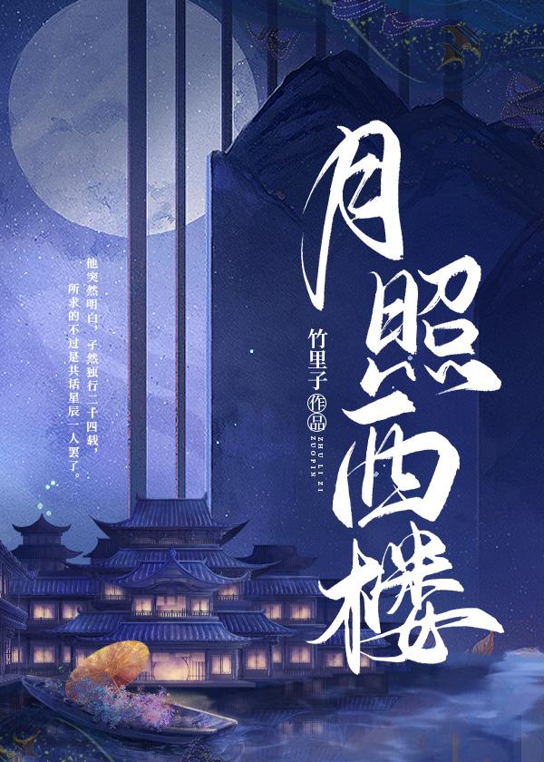 月照西楼封面