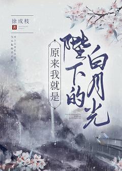 原来我就是陛下的白月光封面