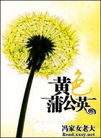 黄色蒲公英封面