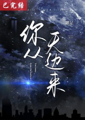 你从天边来封面
